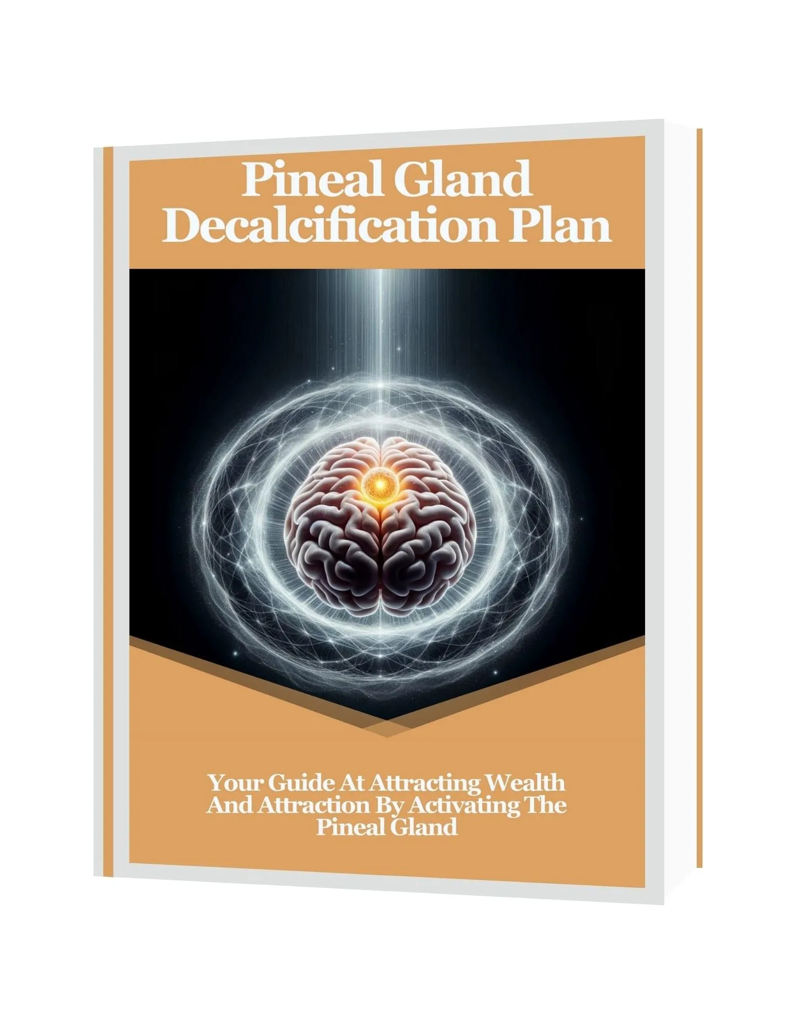 The-Last-Wish-Bonus-2-Intuition-Activation